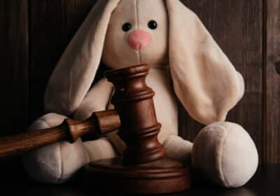 Wooden gavel close-up and plush bunny. Child protection concept