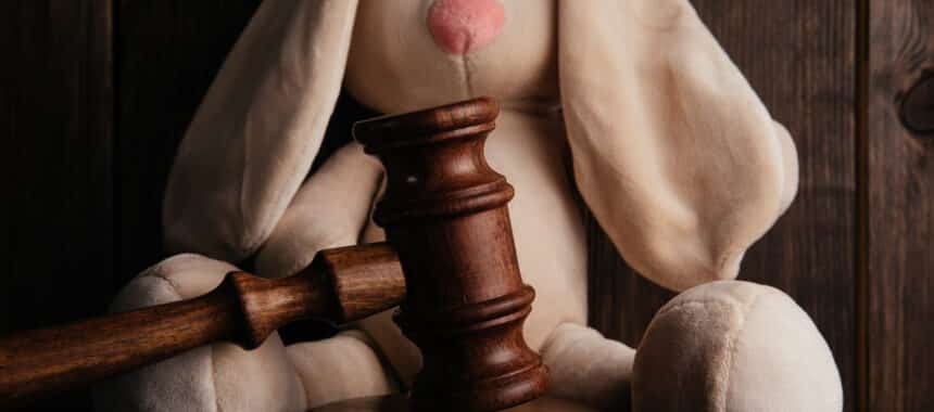 Wooden gavel close-up and plush bunny. Child protection concept